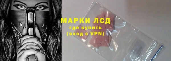 сатива Алзамай