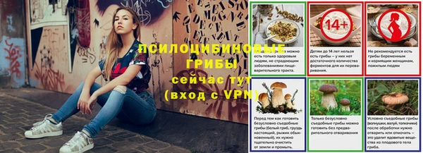 МДПВ Алексеевка