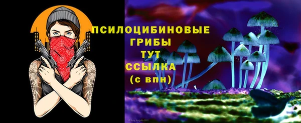 МДПВ Алексеевка