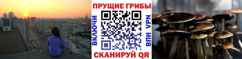 это формула Сорочинск Псилоцибиновые грибы GOLDEN TEACHER магазин